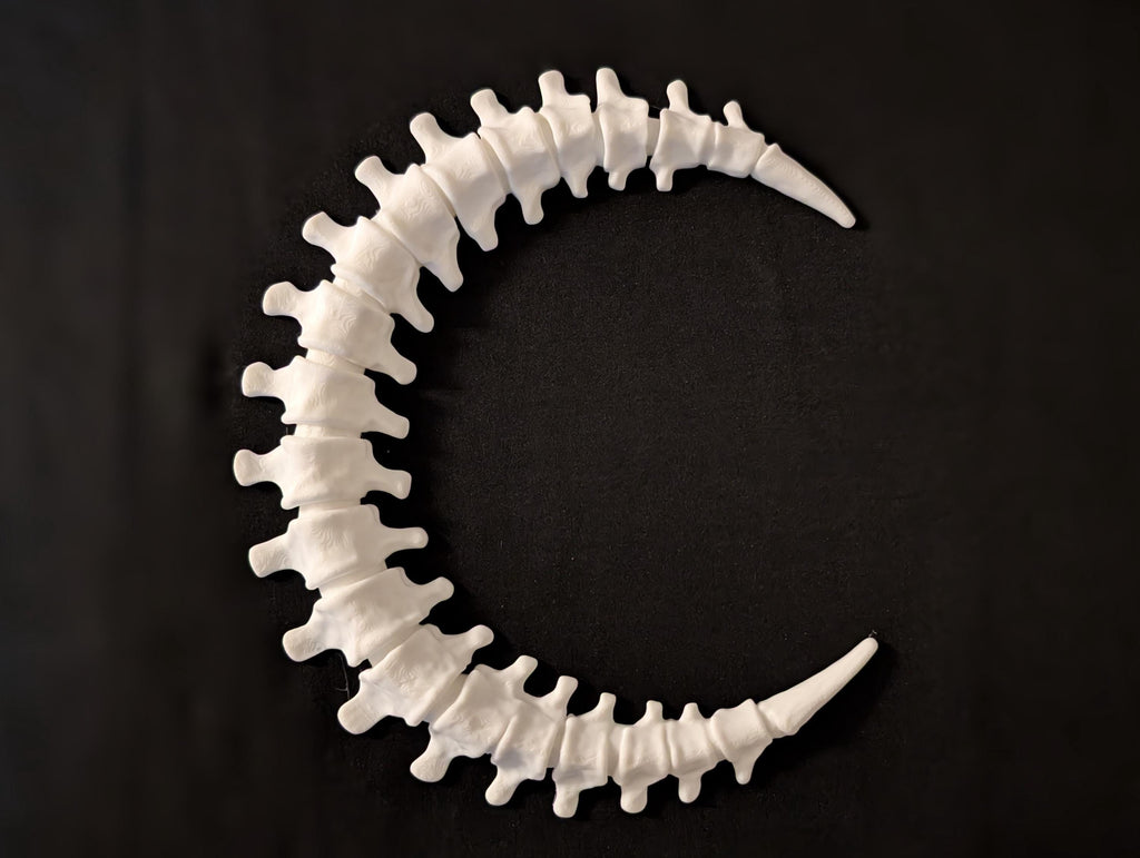 Spinal Moon Wall Art – Bone Crescent Skeleton Moon Decor