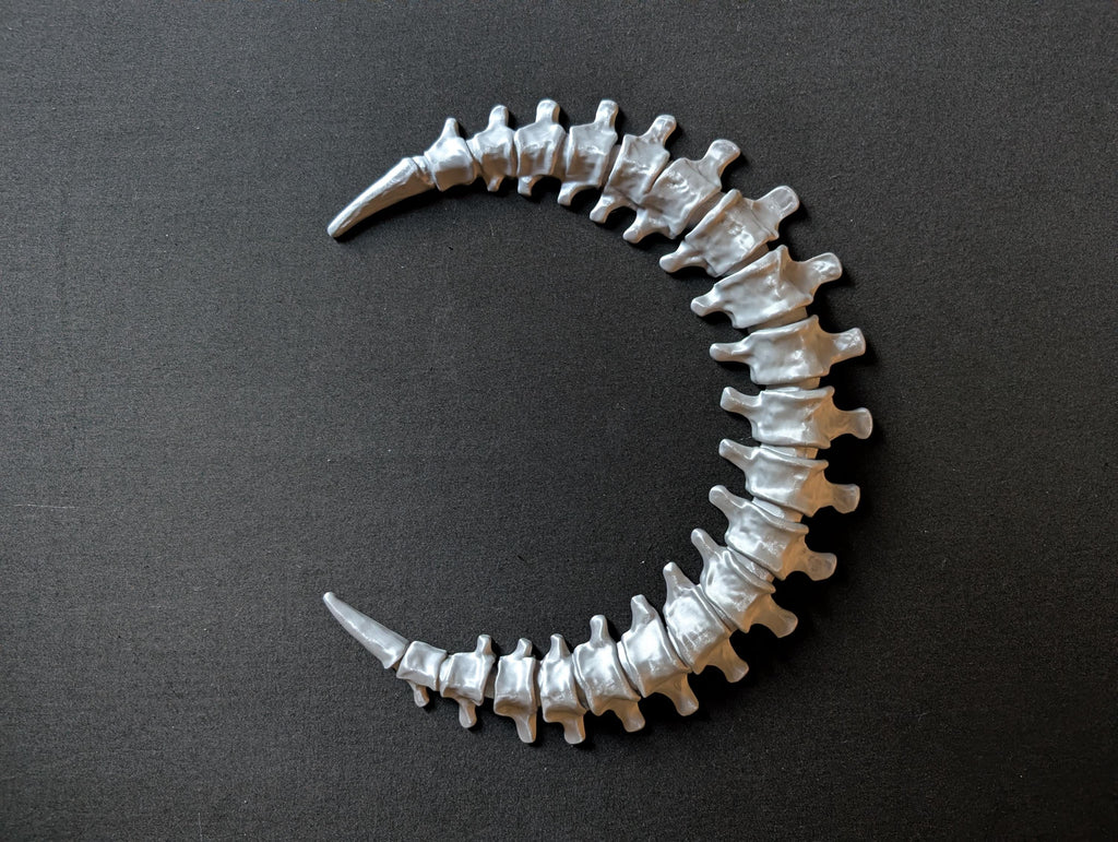 Spinal Moon Wall Art – Bone Crescent Skeleton Moon Decor