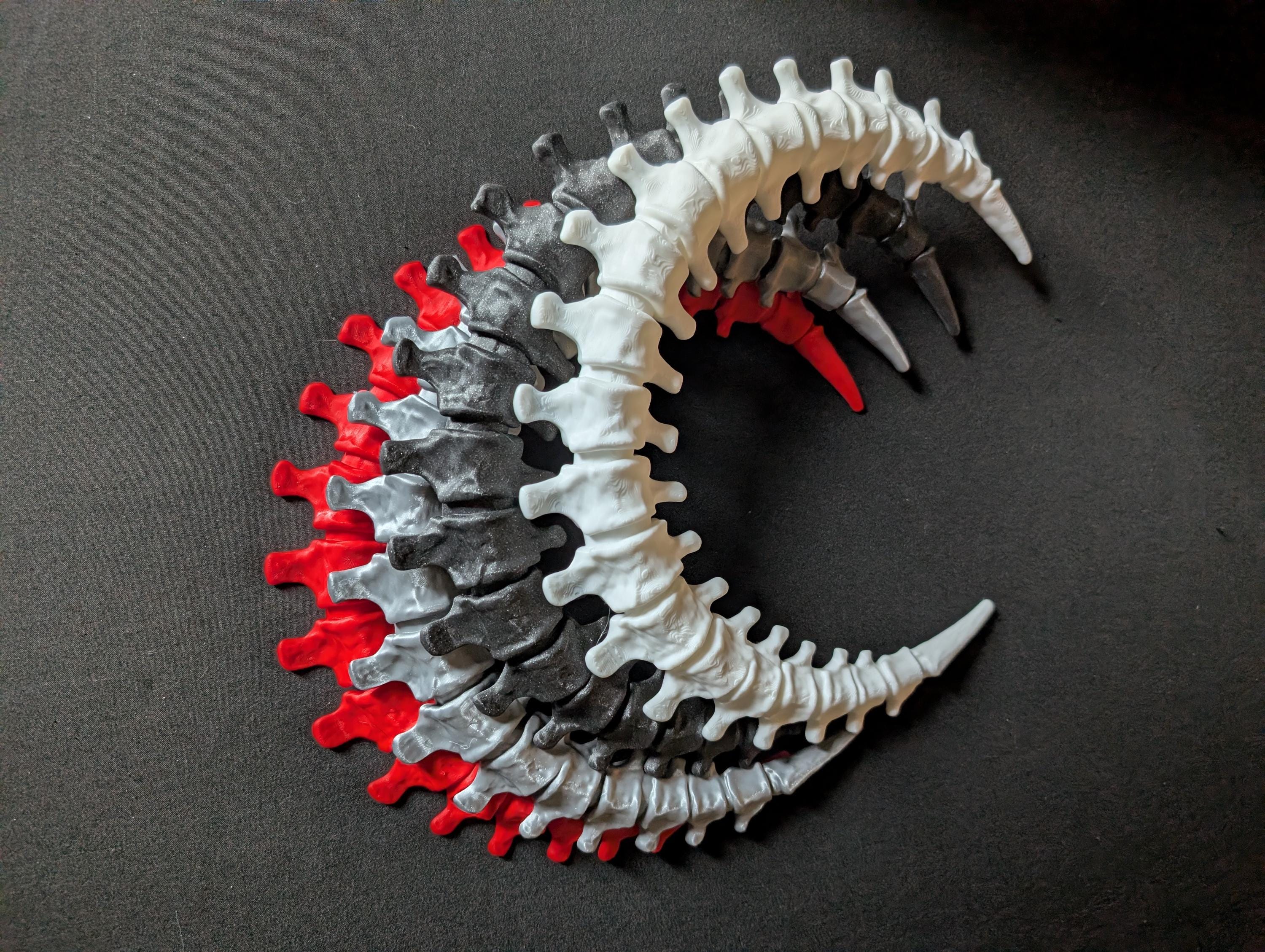 Spinal Moon Wall Art – Bone Crescent Skeleton Moon Decor