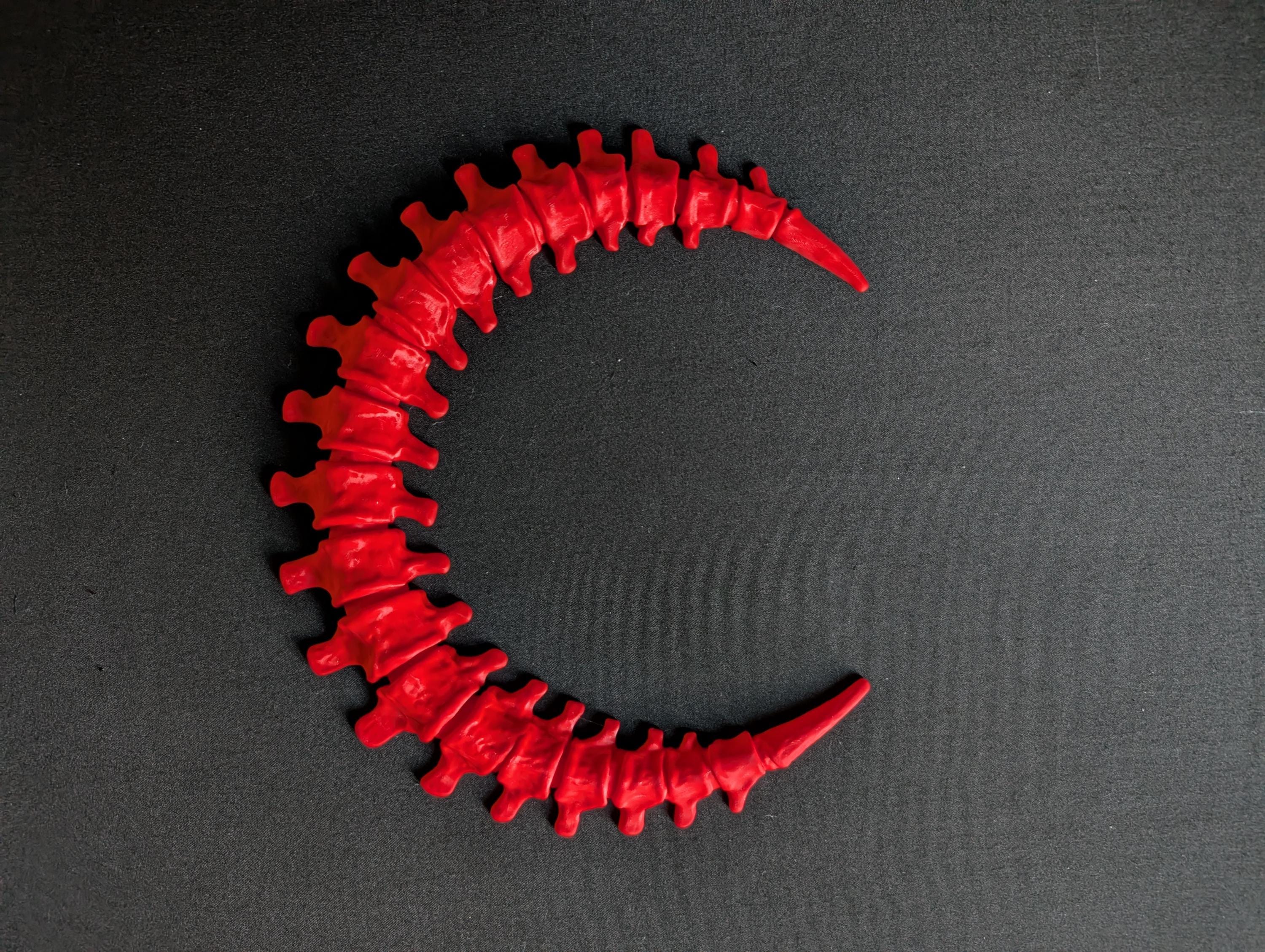 Spinal Moon Wall Art – Bone Crescent Skeleton Moon Decor