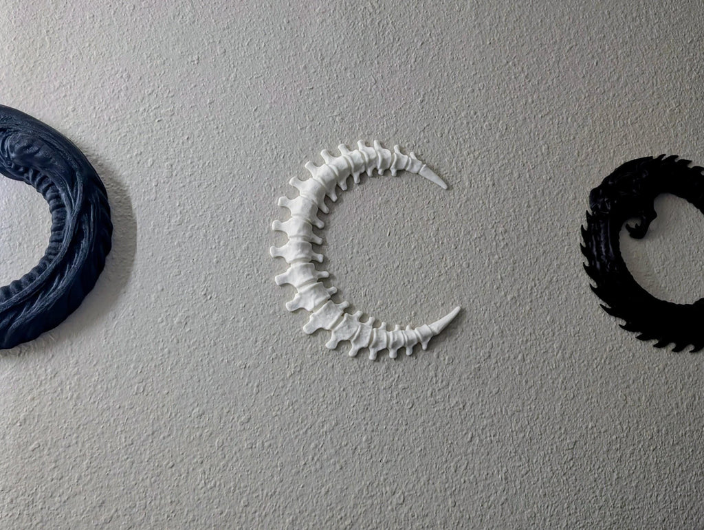 Spinal Moon Wall Art – Bone Crescent Skeleton Moon Decor
