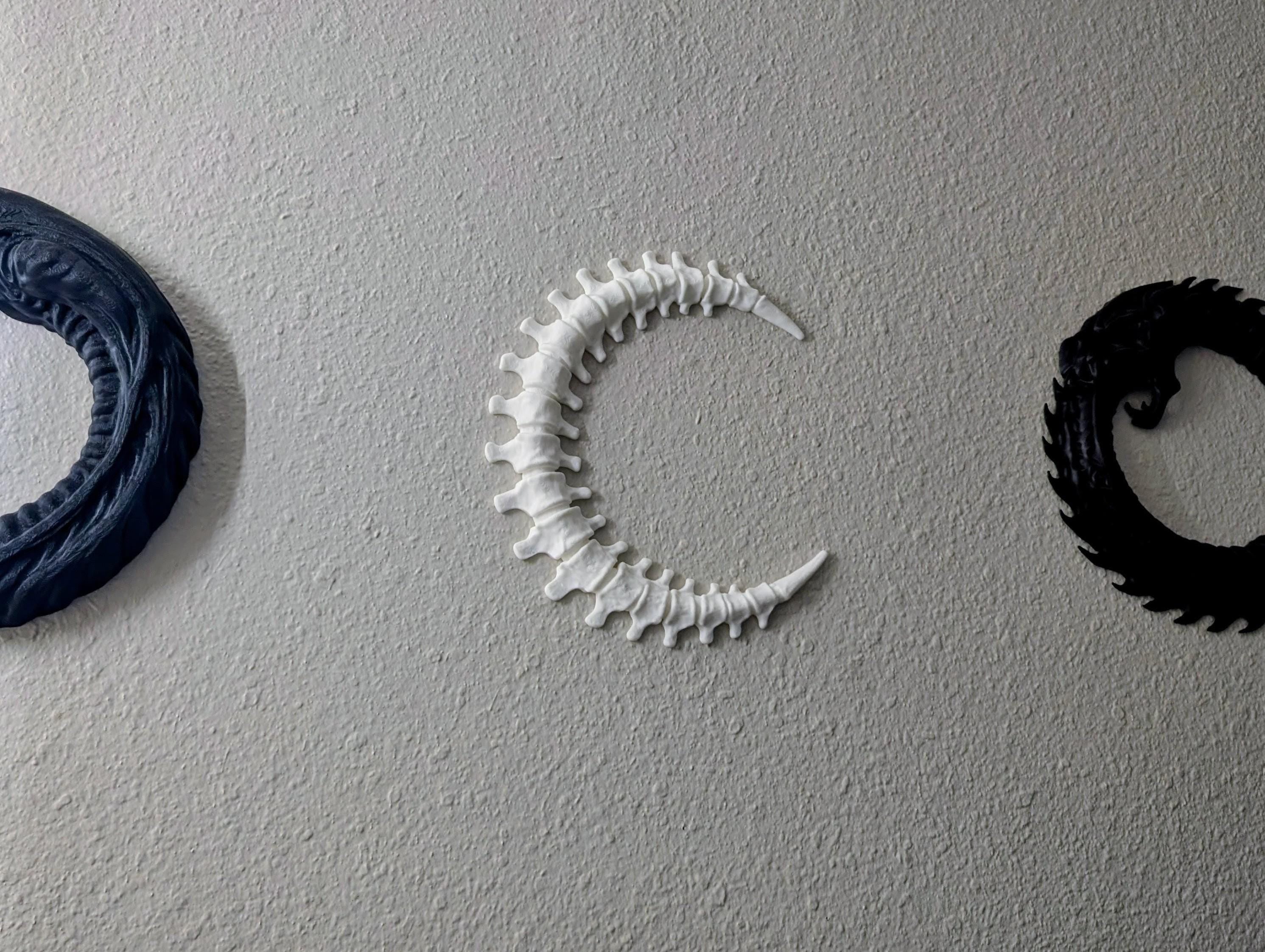 Spinal Moon Wall Art – Bone Crescent Skeleton Moon Decor