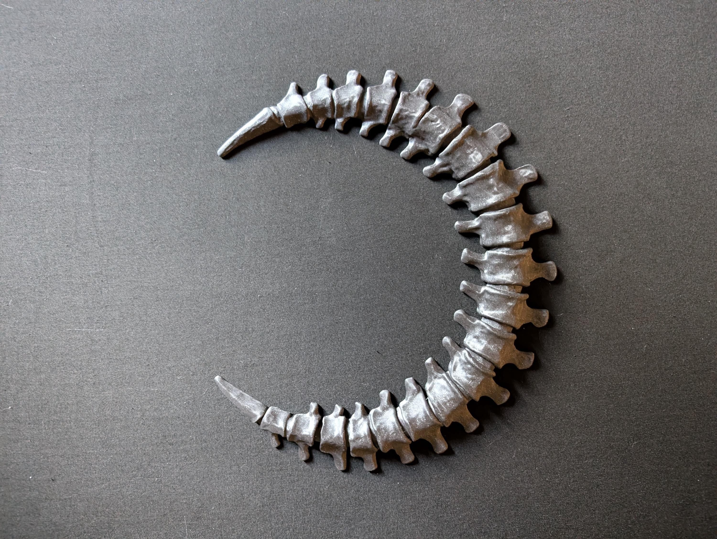 Spinal Moon Wall Art – Bone Crescent Skeleton Moon Decor