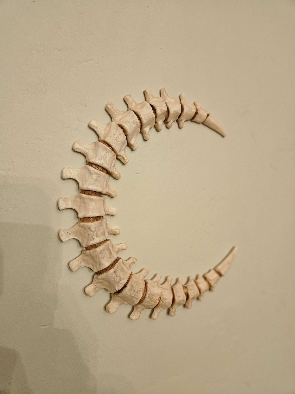 Spinal Moon Wall Art – Bone Crescent Skeleton Moon Decor