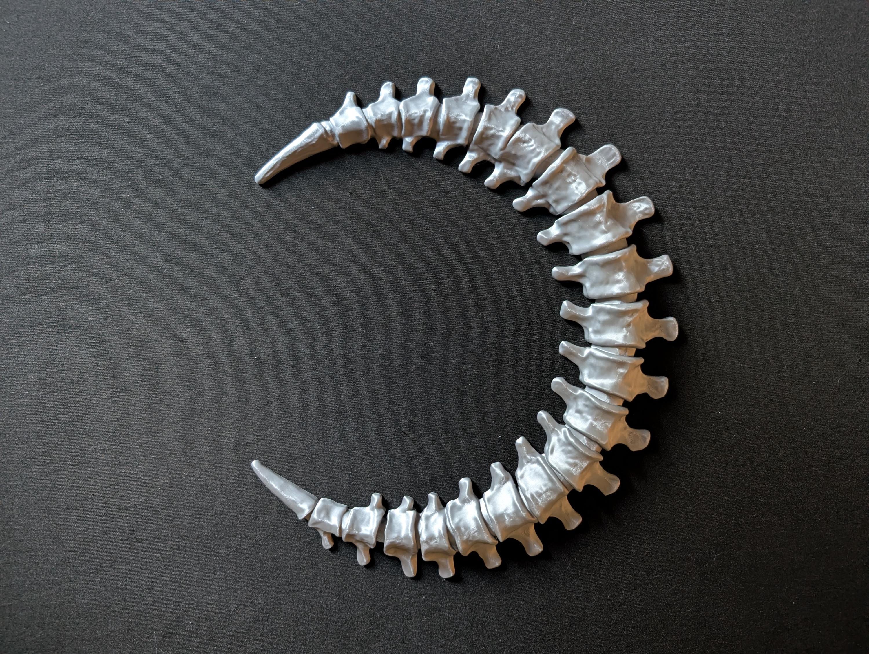 Gothic Anatomy Spine Wall Sculpture - Customizable Elegant Weird Bone Structure